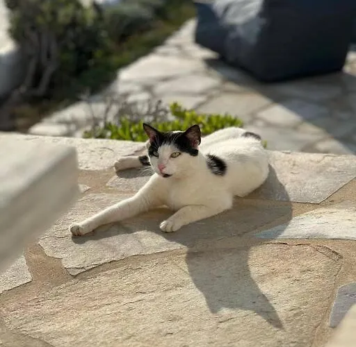 Grotta Sunset Escape * Naxos City